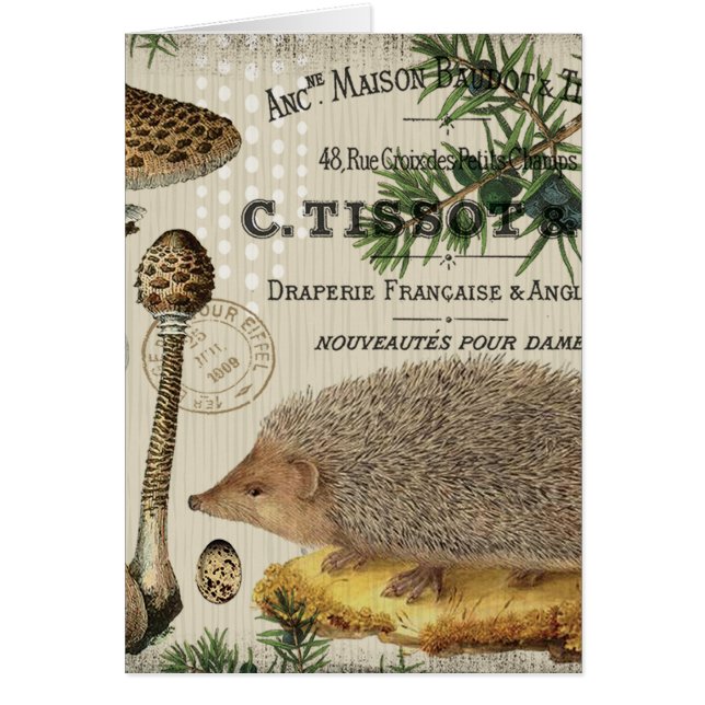 modern vintage woodland hedgehog (Front)