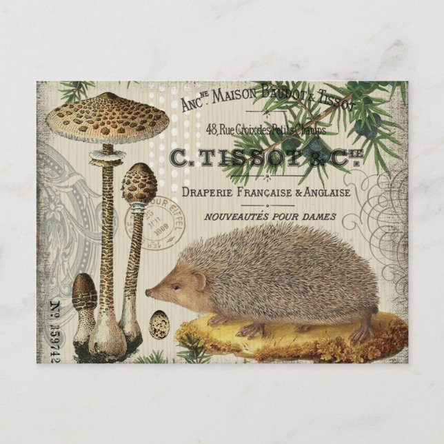 modern vintage woodland hedgehog postcard (Front)