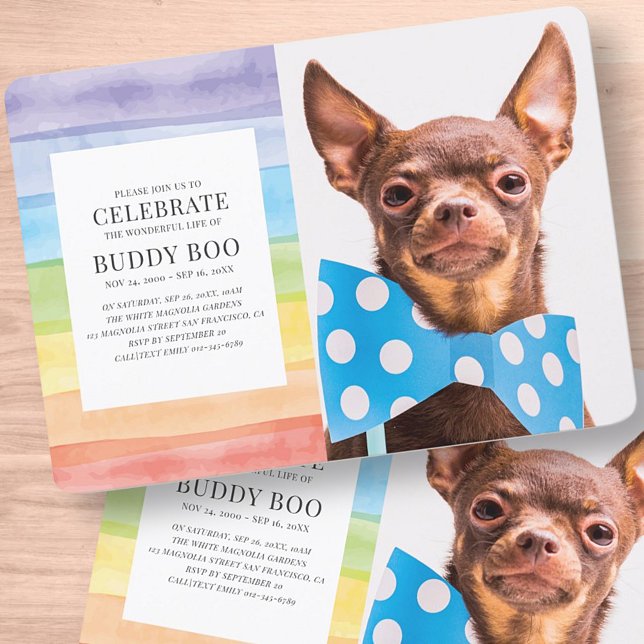 Modern Watercolor Rainbow Stripes Pet Memorial Invitation (Creator Uploaded)