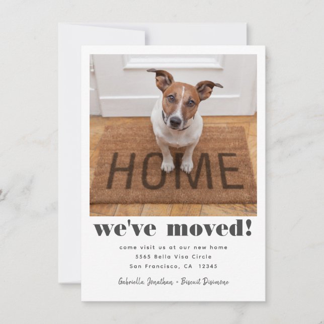 Modern We've Moved Pet Photo Moving Announcement (Front)