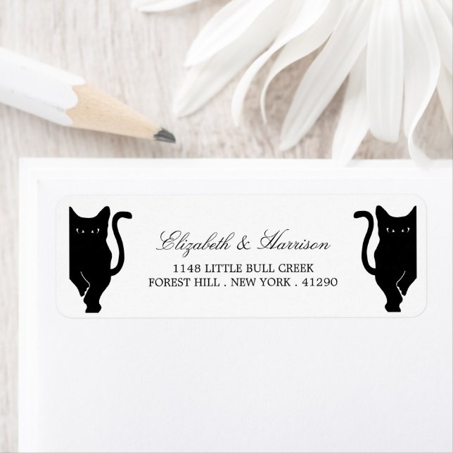 Modern Whimsical Black Cat Wedding (Insitu)