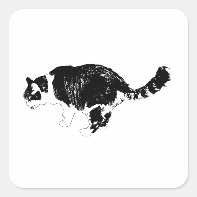 Modern Whiskers, Playful Note Square Sticker (Front)