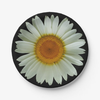 Modern White Daisy on Black Paper Plate