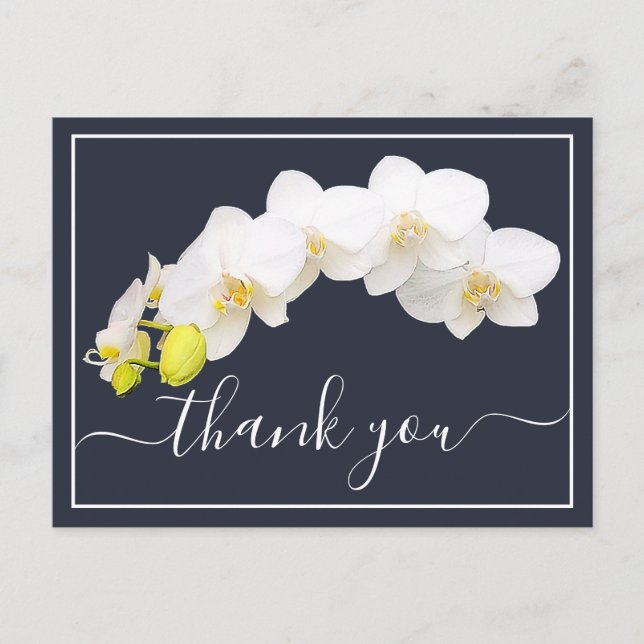 Modern White Orchid Elegant Botanical Thank You Postcard (Front)