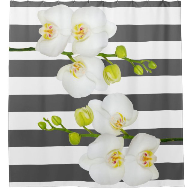 Modern White Orchids & Thick White Stripes Shower Curtain (Front)