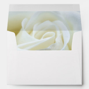 Modern White Rose Envelope