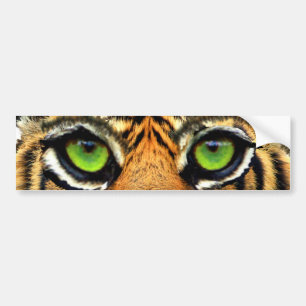 Modern Wild Tiger Bumper Sticker
