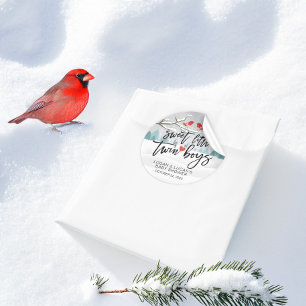 Modern Winter Baby Shower Sweet Little Twin Boys Classic Round Sticker