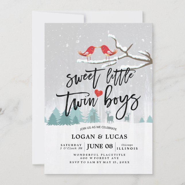 Modern Winter Baby Shower Sweet Little Twin Boys Invitation (Front)
