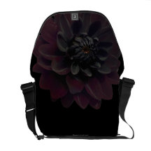 Modern Woman's Floral Black Dahlia Flower