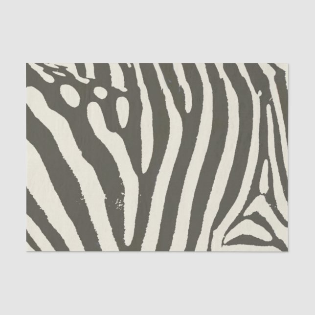 Modern Zebra Stripe Animal Print Pattern Tissue Paper (Front)