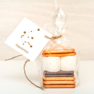 Modern Zodiac Sign Gold Aquarius   Element Air Favour Tags