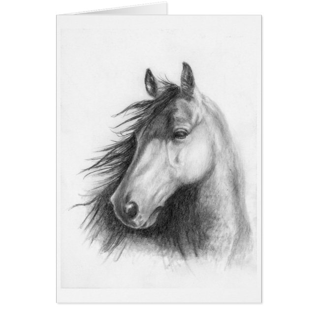 Moe the Morgan (Front)