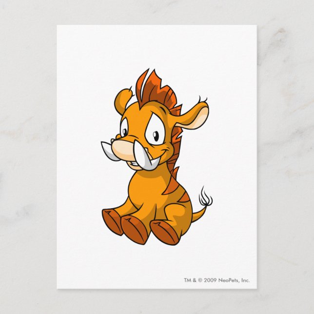 Moehog Orange Postcard (Front)