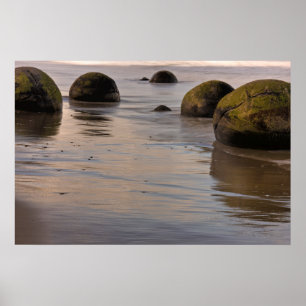 Moeraki Boulders On Beach Poster