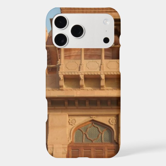 Mohatta Palace Museum: Iconic Design (Back)