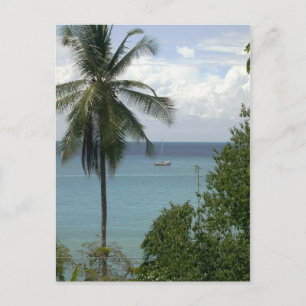 Moira at anchor, Bahia Drake, Costa Rica Postcard