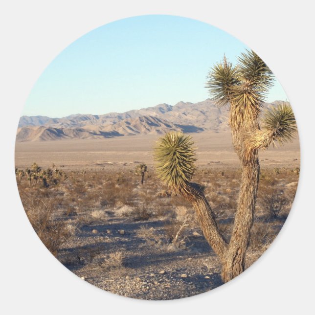 Mojave Desert scene 01 Classic Round Sticker (Front)