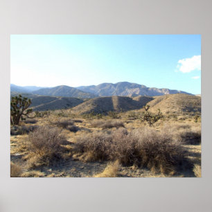 Mojave Desert scene 05 Poster