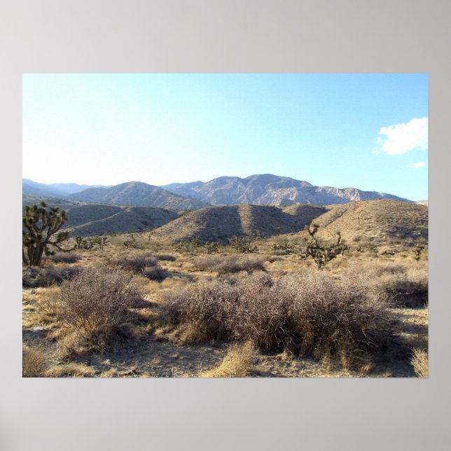 Mojave Desert scene 05 Poster (Front)