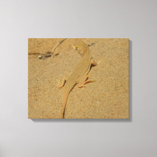 Mojave Fringe-Toed Lizard Canvas Print