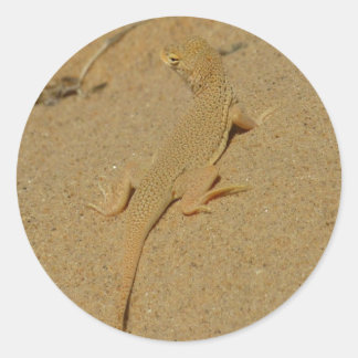 Mojave Fringe-Toed Lizard Classic Round Sticker