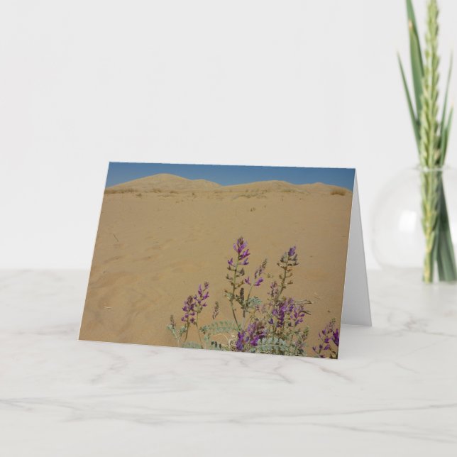Mojave Indigo Bush and Kelso Dunes Card (Front)
