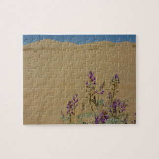 Mojave Indigo Bush and Kelso Dunes Jigsaw Puzzle