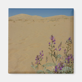 Mojave Indigo Bush and Kelso Dunes Magnet