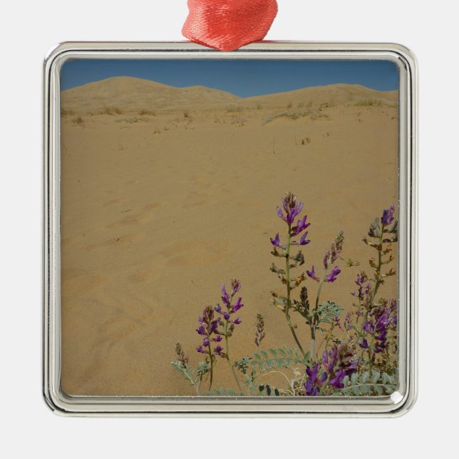 Mojave Indigo Bush and Kelso Dunes Metal Tree Decoration (Front)