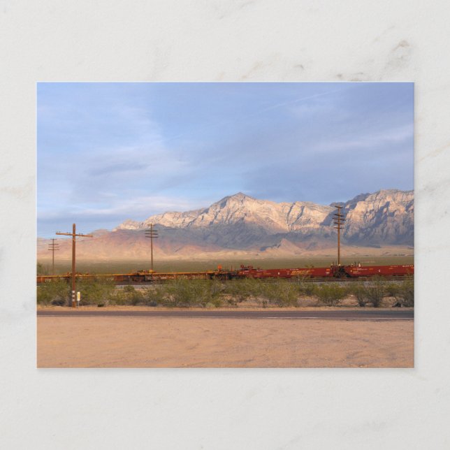Mojave National Preserve California Postcard (Front)