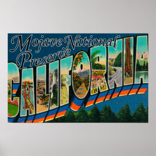 Mojave Nat'l Preserve, California Poster