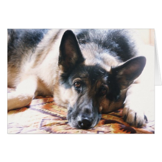 Mojia (Front Horizontal)