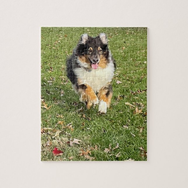 Mojo - Australian Shepherd Jigsaw Puzzle (Vertical)