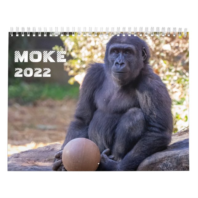 Moke 2022 Calendar (Cover)