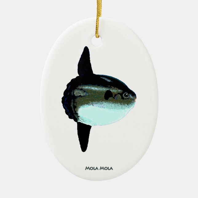 Mola Mola Ceramic Tree Decoration (Front)
