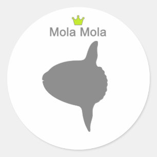 Mola Mola g5 Classic Round Sticker
