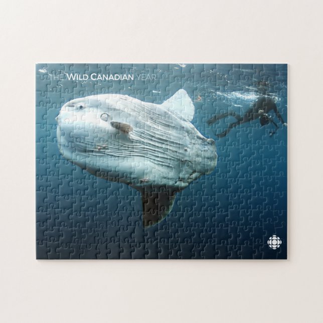 Mola Mola Jigsaw Puzzle (Horizontal)