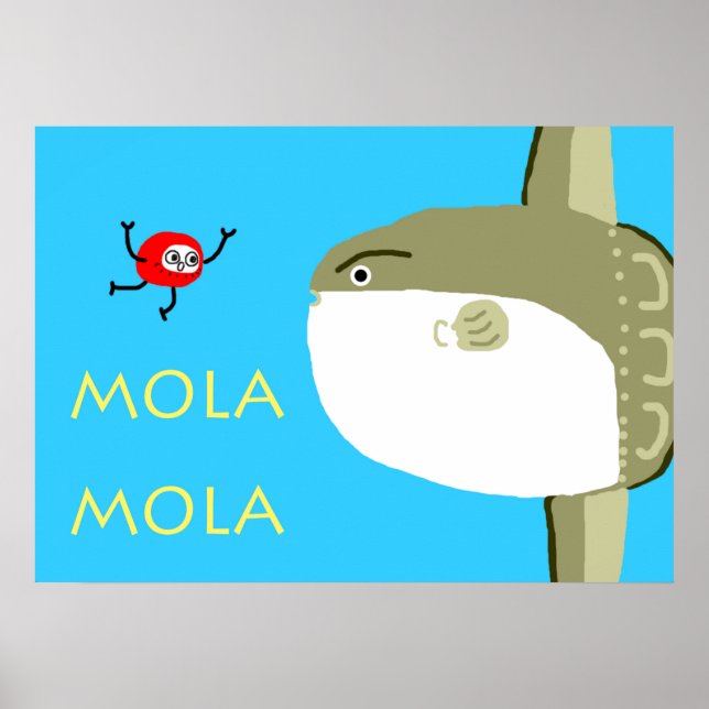 MOLA MOLA POSTER (Front)