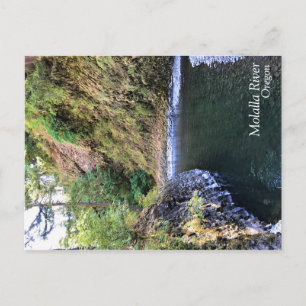 Molalla River, OR Postcard
