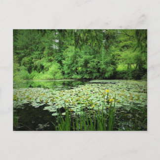 Molalla River State Park, Canby, Oregon Postcard