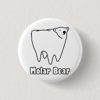 Molar Bear Polar Tooth Bear