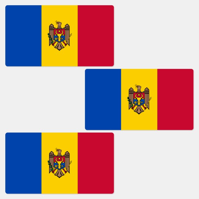 Moldova Flag (Group)