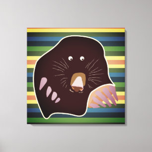 Mole and Stripes Wrapped Canvas