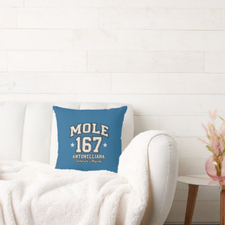 Mole Antonelliana - Sabauda Majesty Vintage Varsit Cushion