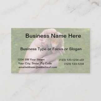mole in hand against grass.jpg business card