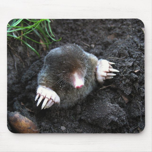 Mole Mouse Pad (Front)