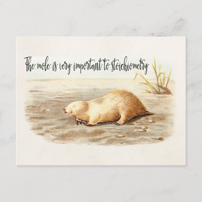 Mole Stoichiometry Chemistry Quote Science Humour Postcard (Front)