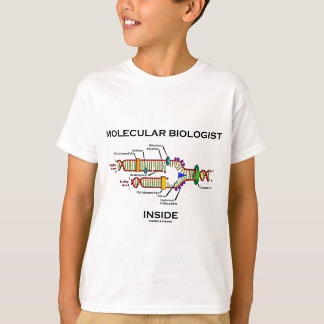 Molecular Biologist Inside (DNA Replication) T-Shirt (Front)
