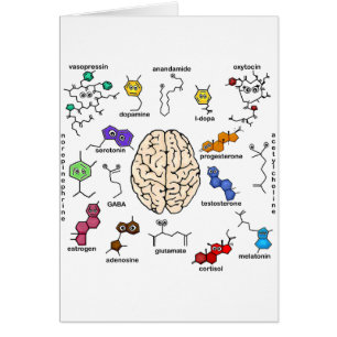 Molecules Galore!
